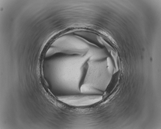 X0000078290976200611251439