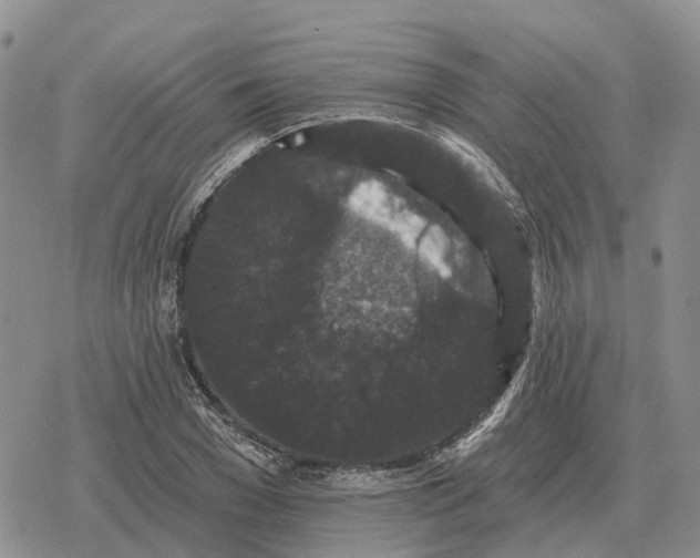 X0000078290977200611251439