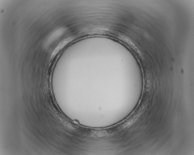 X0000078290978200611251439