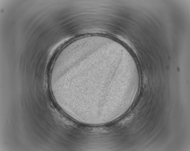 X0000078290979200611251439