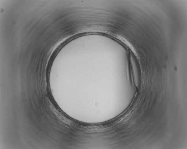 X0000078290980200611251439