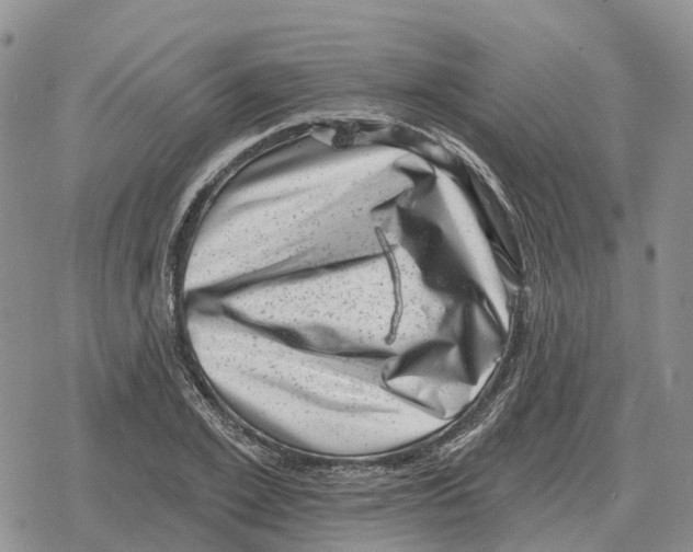 X0000078290981200611251439