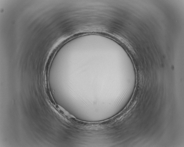 X0000078290982200611251439