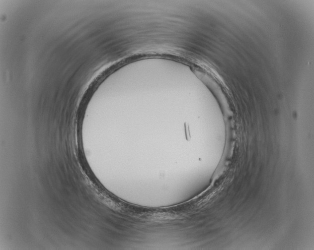 X0000078290984200611251439