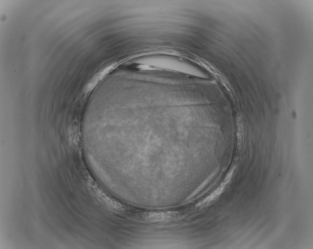 X0000078290985200611251439