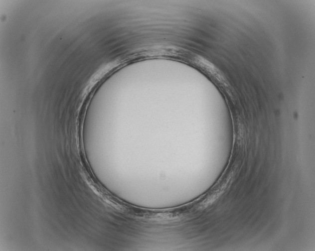 X0000078290986200611251439