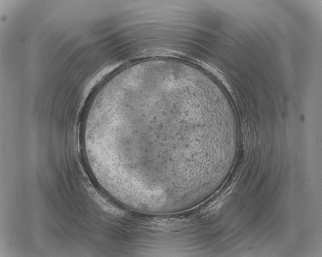 X0000078290987200611251439