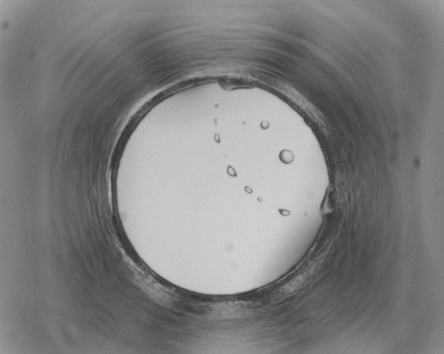 X0000078290988200611251439