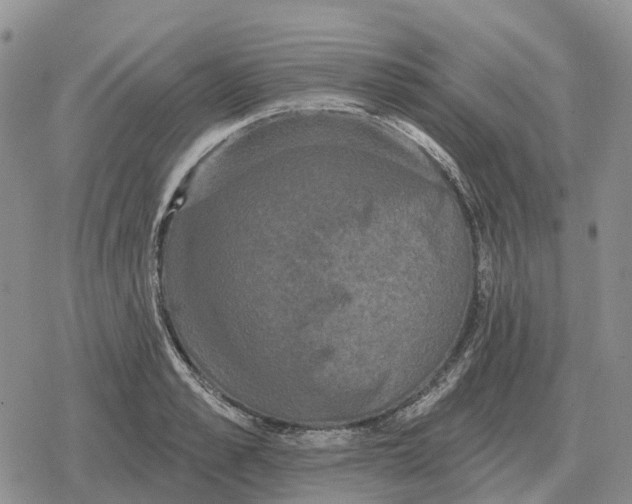 X0000078290989200611251439