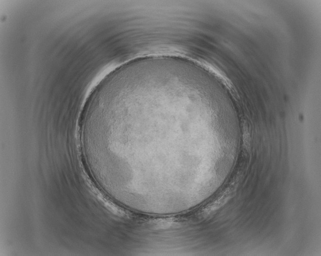 X0000078290990200611251439