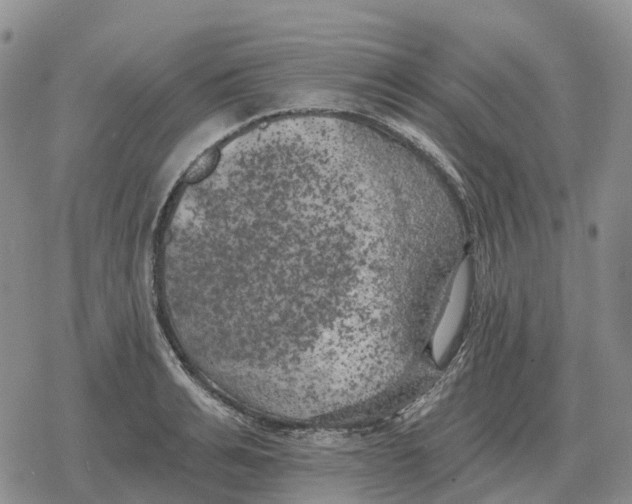 X0000078290991200611251439