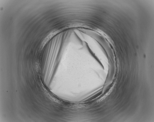 X0000078290993200611251439