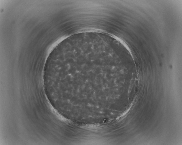 X0000078290995200611251438