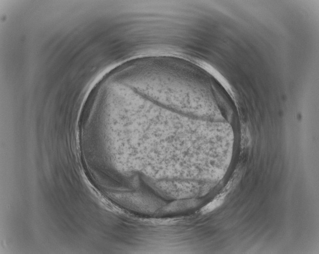 X0000078290996200611251438