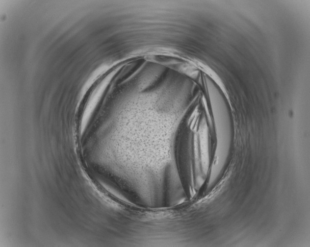 X0000078290997200611251438