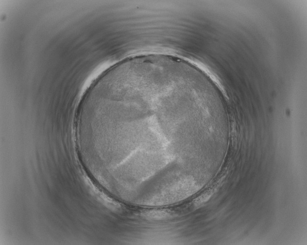 X0000078290998200611251438