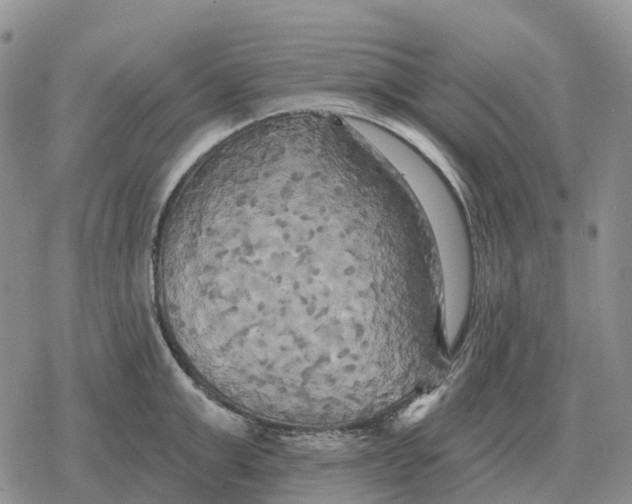 X0000078290999200611251438