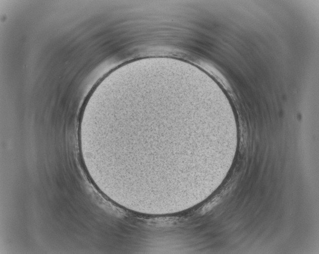 X0000078291000200611251438