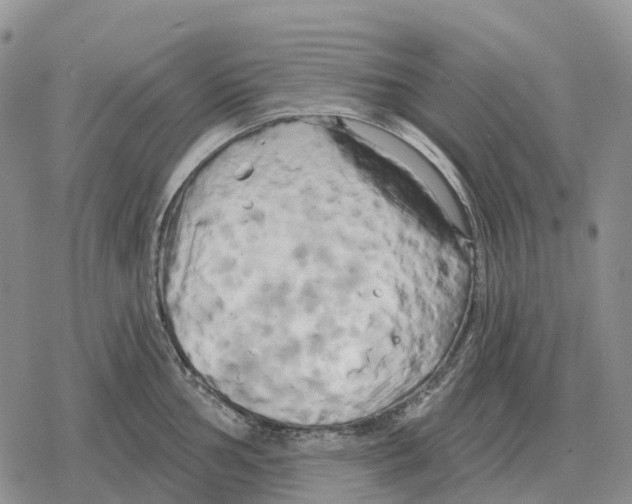 X0000078291002200611251438