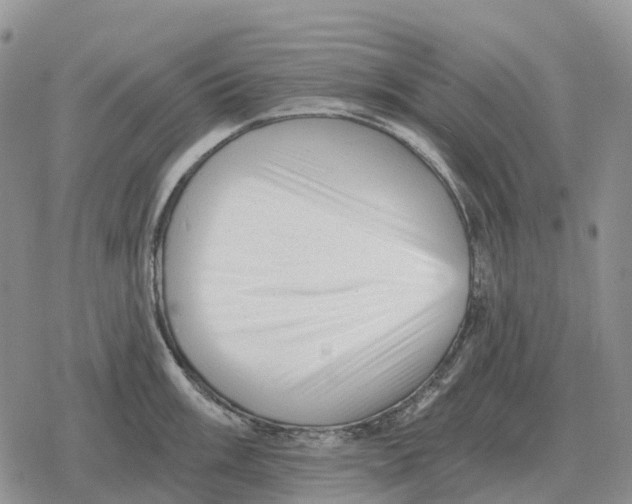 X0000078291003200611251438