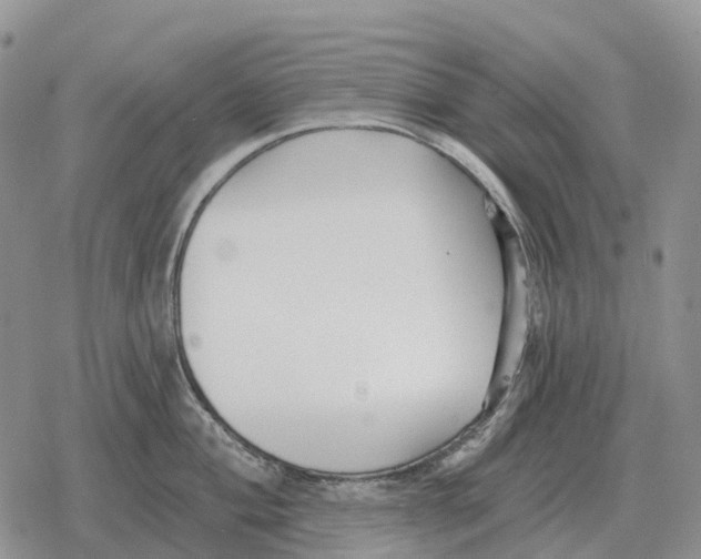 X0000078291004200611251438