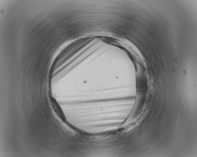 X0000078291005200611251438