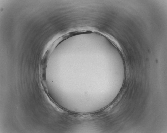 X0000078291006200611251438