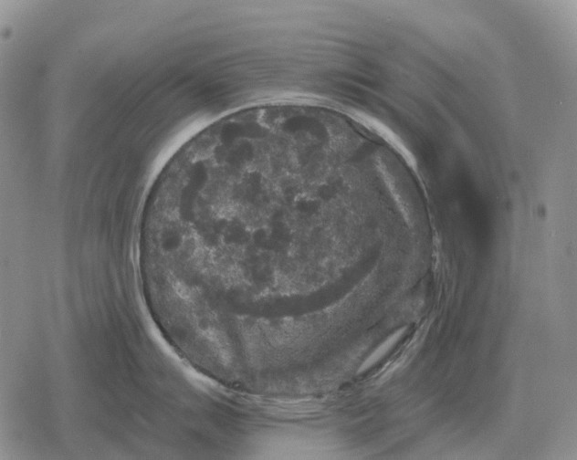 X0000078291007200611251438