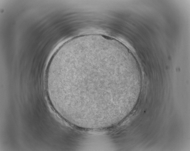 X0000078291008200611251438