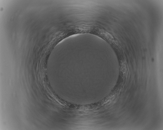 X0000078291009200611251437