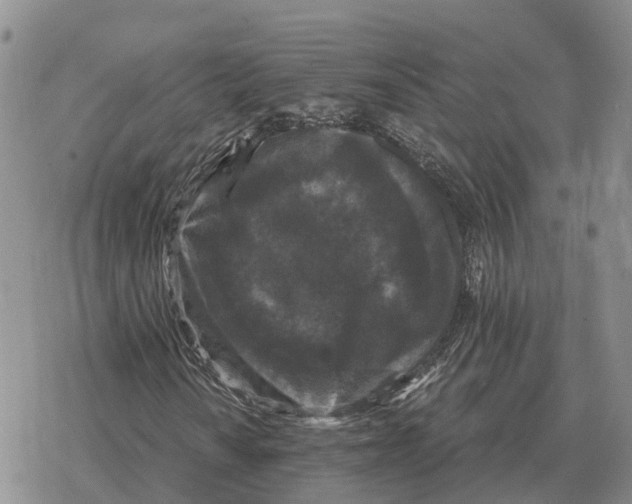 X0000078291010200611251437