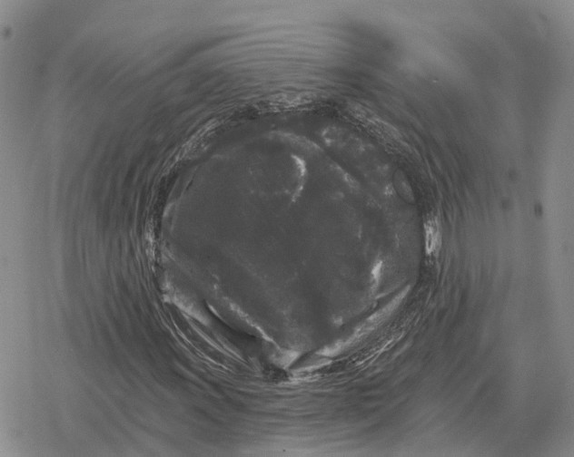 X0000078291011200611251438