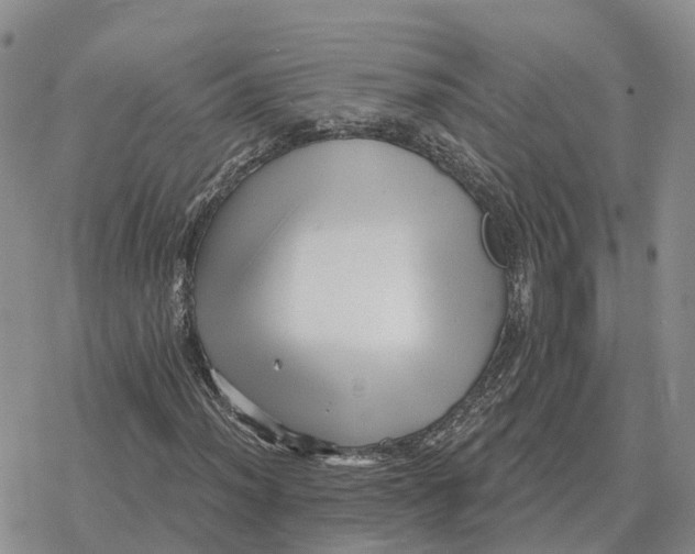 X0000078291012200611251438