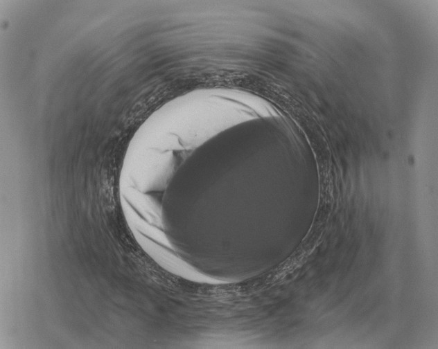 X0000078291013200611251438