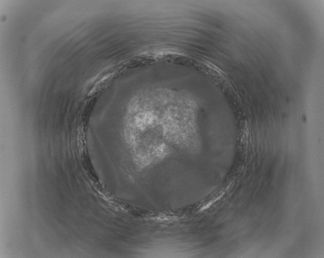 X0000078291014200611251438