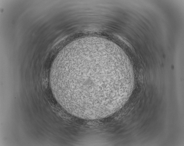 X0000078291015200611251438