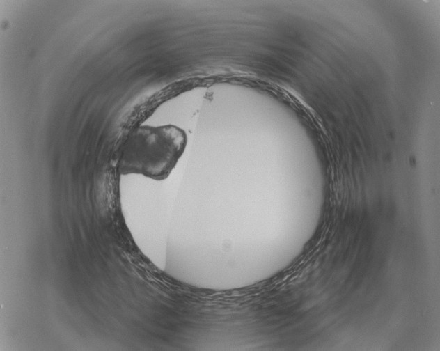 X0000078291016200611251438