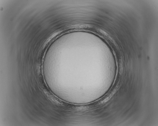 X0000078291017200611251438