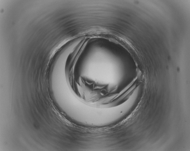 X0000078291018200611251438