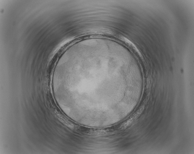 X0000078291019200611251438