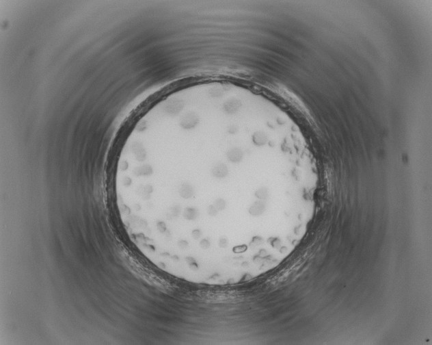 X0000078291020200611251438