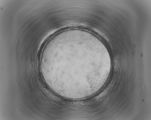 X0000078291021200611251438