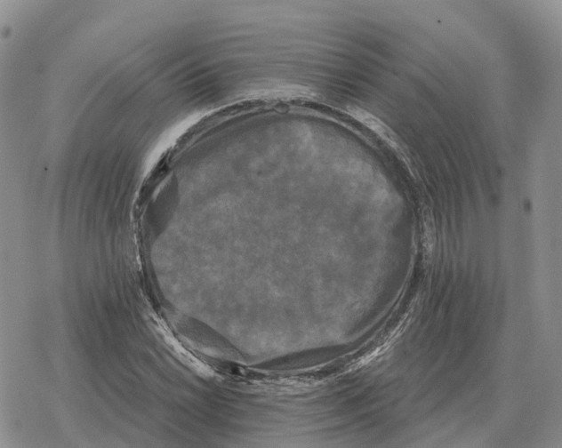 X0000078291022200611251438