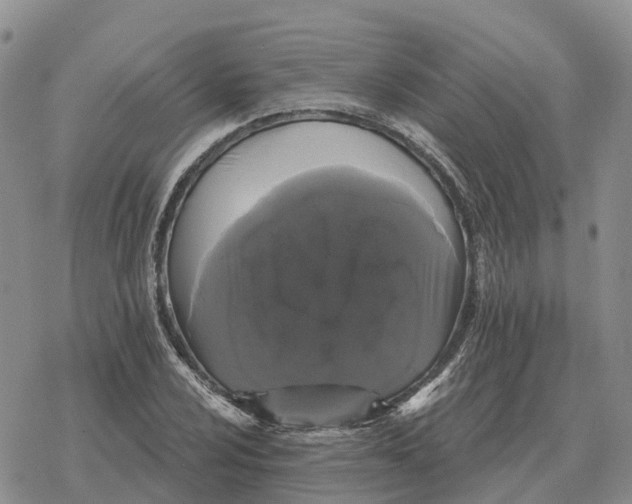 X0000078291024200611251438