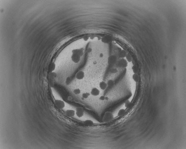 X0000078291025200611251438