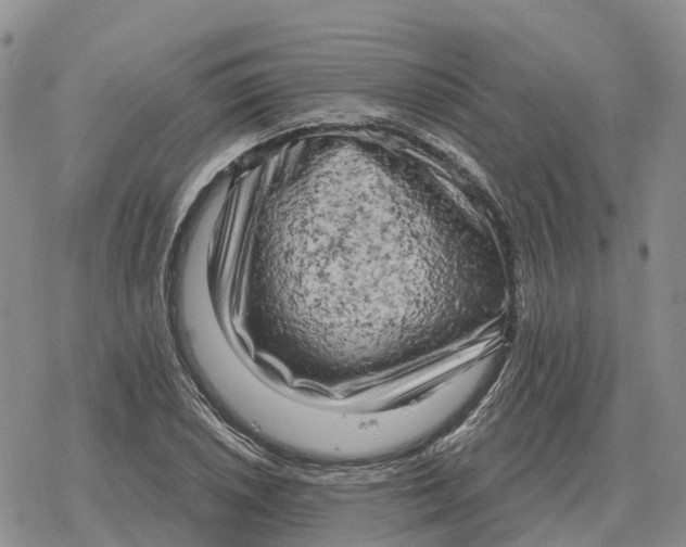 X0000078291026200611251438