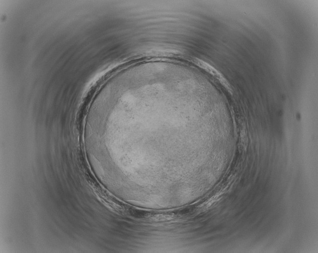 X0000078291027200611251438