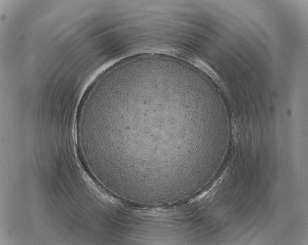 X0000078291028200611251438