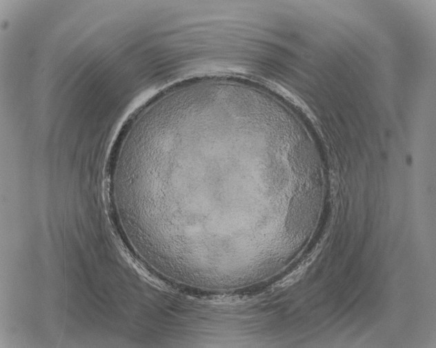 X0000078291029200611251438