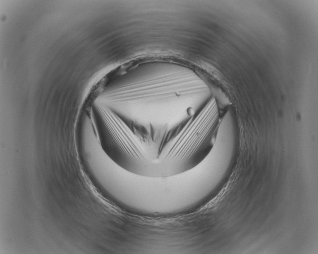 X0000078291030200611251438